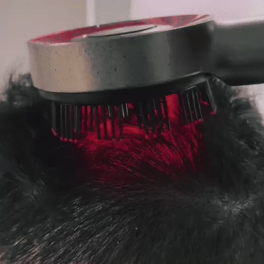 Magnetic Oil Masagger Comb with red light therapy
